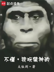 不懂，我玩猿神的